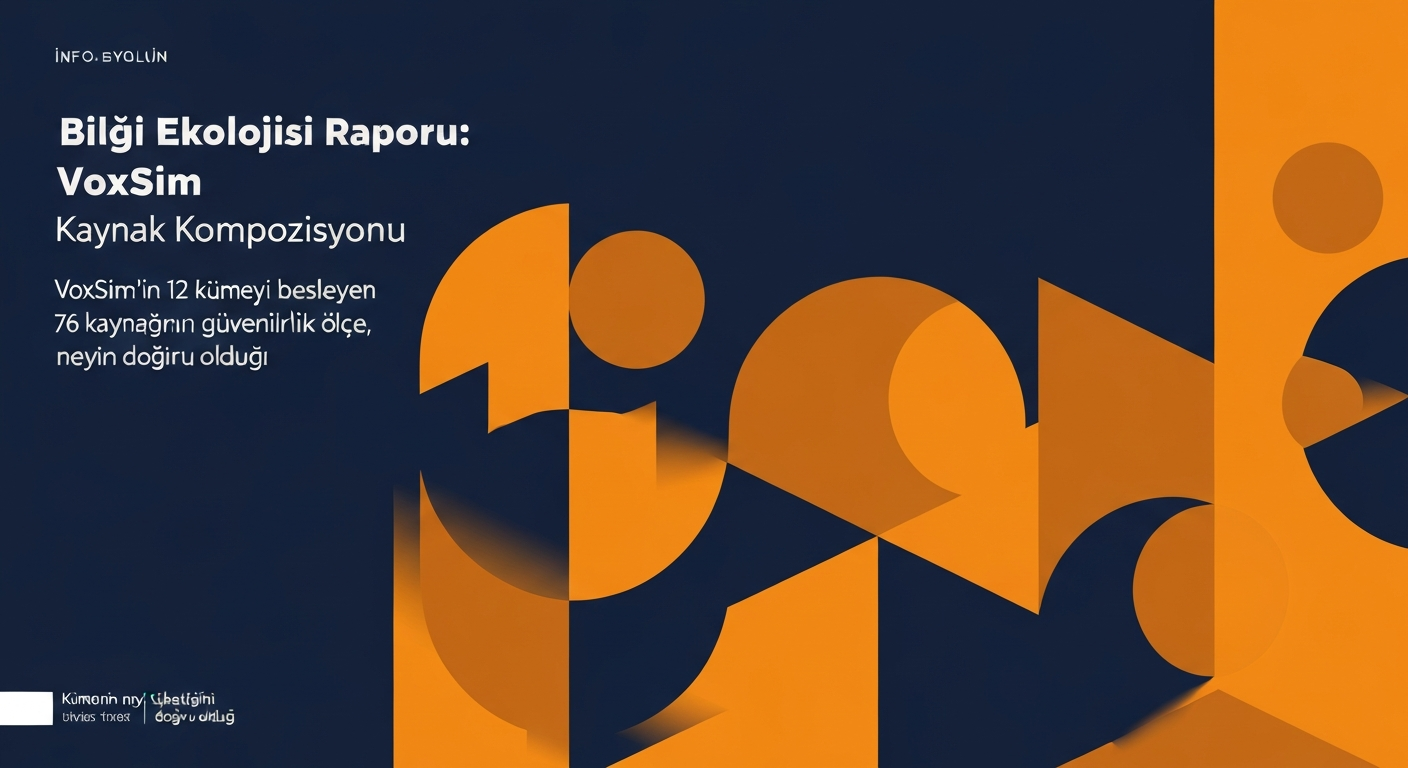 Bilgi Ekolojisi Raporu: VoxSim Kaynak Kompozisyonu
