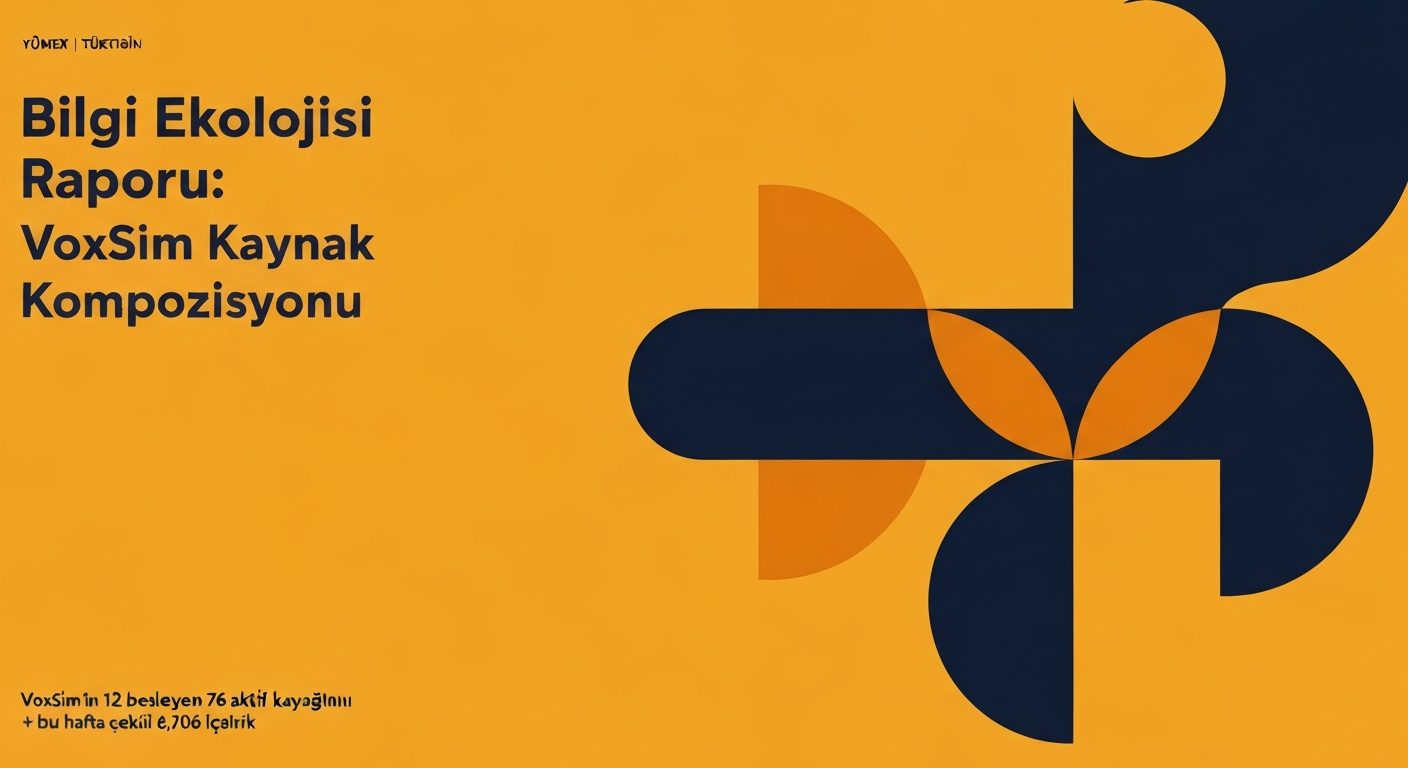 Bilgi Ekolojisi Raporu: VoxSim Kaynak Kompozisyonu
